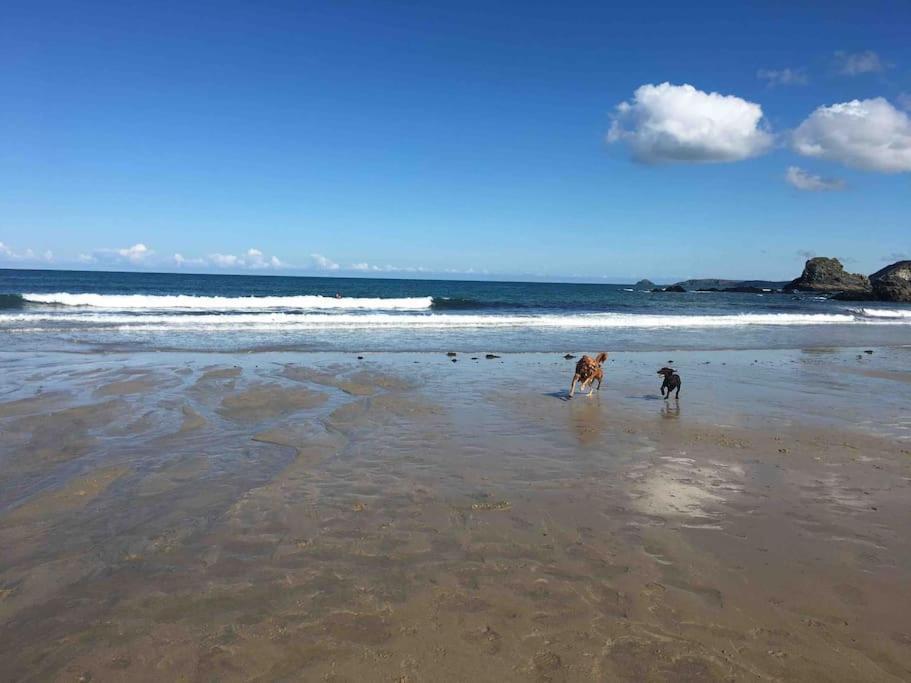 St Agnes Perfect Location, Hot Tub, Sea Views, Gym St Agnes (Cornwall) Exterior photo